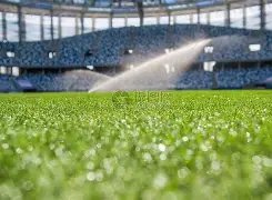 排列五第,期专家质合,推荐分析,竞彩足球比分,竞彩比分官网,竞彩体育,竞彩网页版,竞彩app下载电脑版