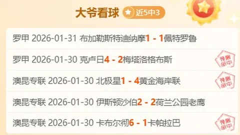 莱切1-0乌迪内斯：赛事精华盘点