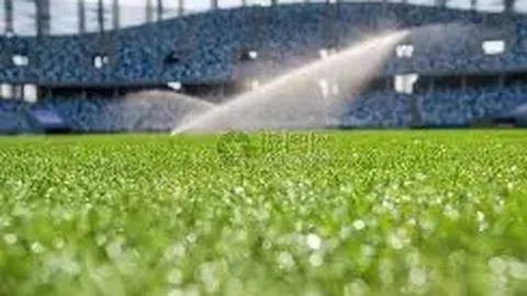 排列五第2026062期专家质合推荐分析