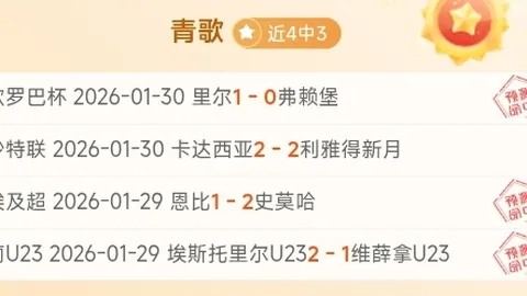 【英联杯深度解读】揭秘阿森纳主场魅力：Yoyo视角全方位解析！